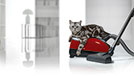 Miele Pressemitteilung Miele Staubsauger Complete C2 “Parquet” und “Cat & Dog”